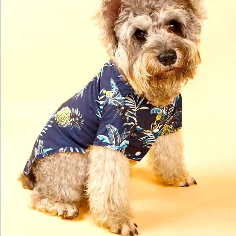 Beach Pineapple Dog/Cat Shirt